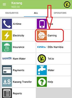 castlebet login namibia login